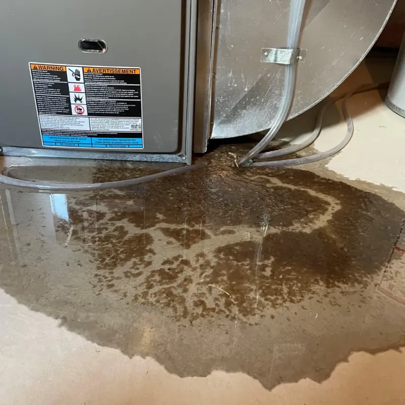 Appliance Leak Cleanup in Bertie County, NC